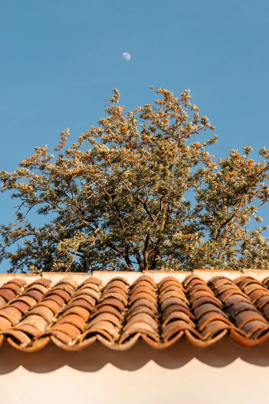 Casas na Ferraria