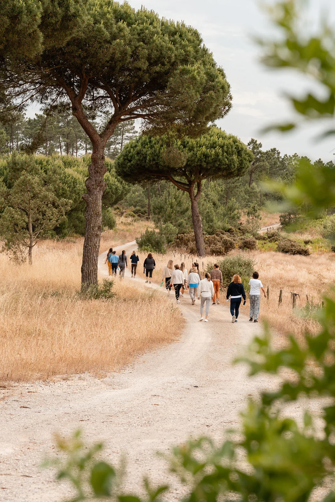 Casas na Ferraria