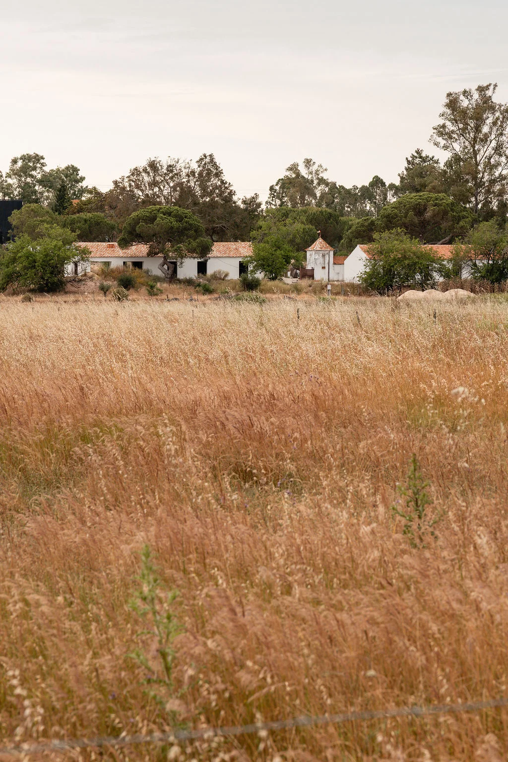 The estate, image 2