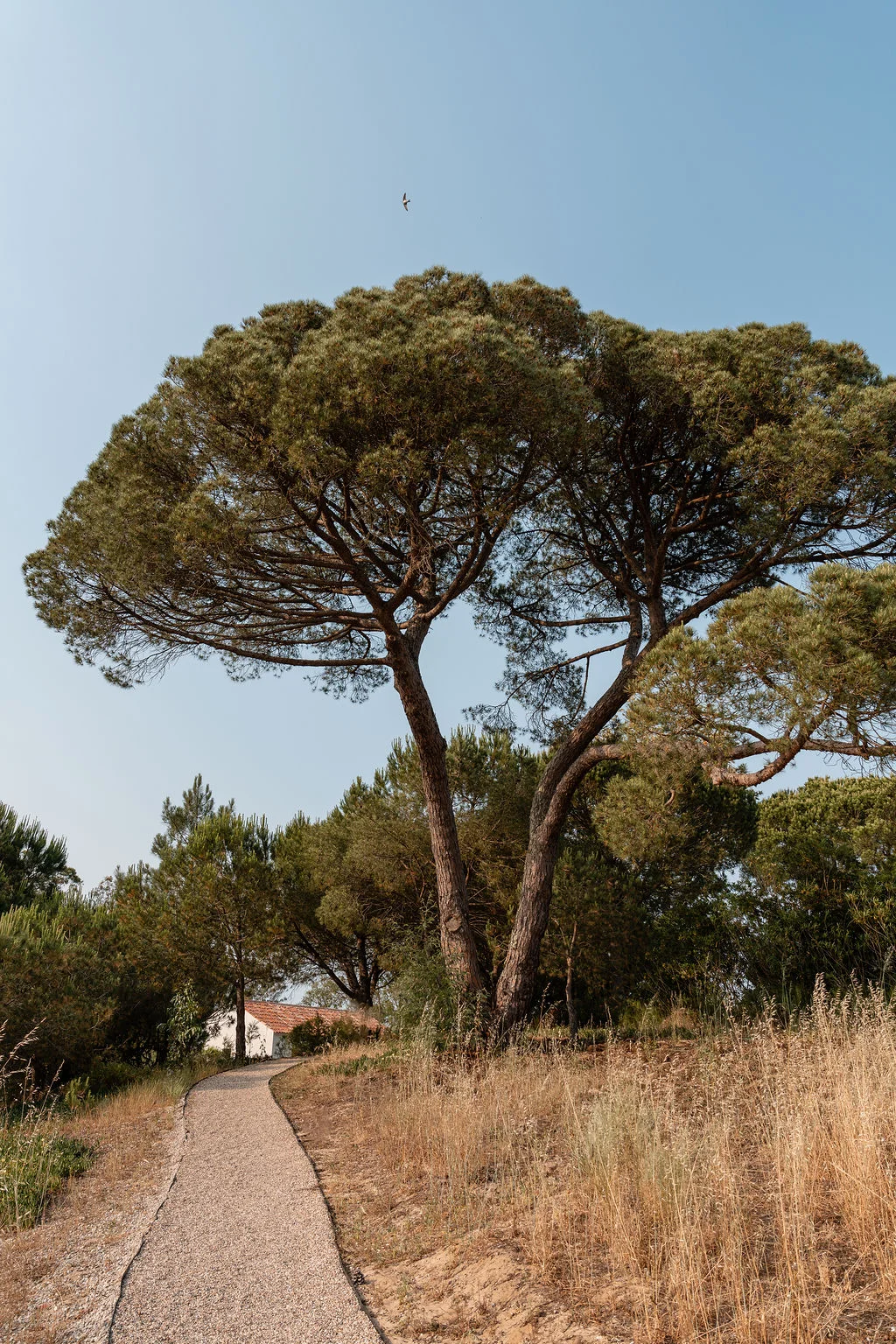 The estate, image 1